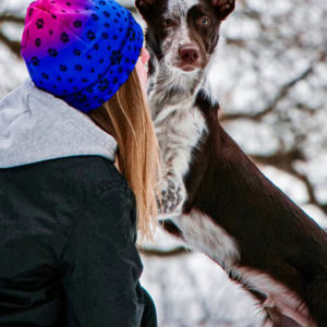 Muetze-Kappe-Kopfbedeckung-Hund-Hundeliebhaber-Winter-kuschlig-warm-Hundepfoten-blau-pink-C19