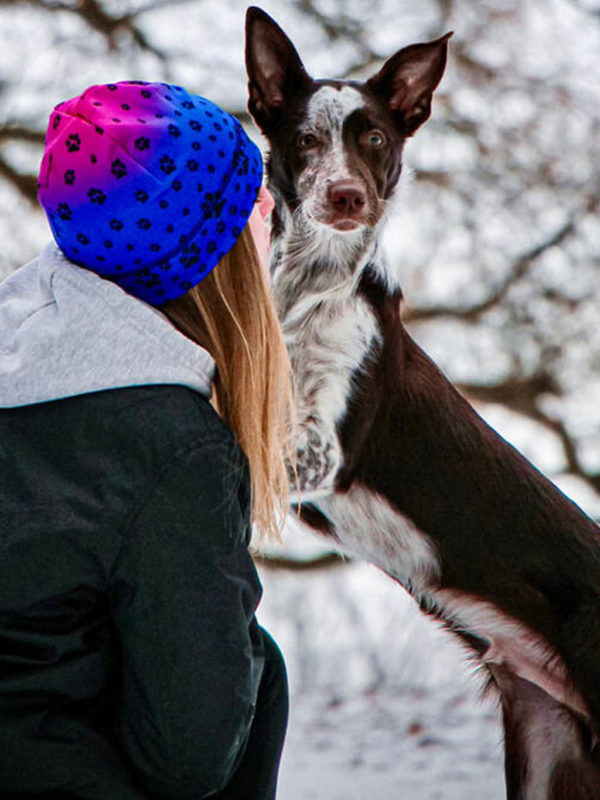 Muetze-Kappe-Kopfbedeckung-Hund-Hundeliebhaber-Winter-kuschlig-warm-Hundepfoten-blau-pink-C19