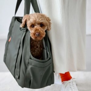 Hundetasche Weda