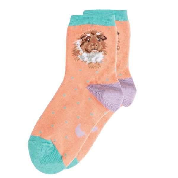 Socken-Wrendale-Designs-Bambussocken-Bambus-Socken-Kinder-Meerschweinchen