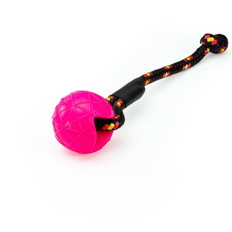 Speed dog Sport-moby-dog-ball-mit-schlaufe-by-speed-dogsport-schwimmend-robust-hund-hundesport-PVC frei-geruchsneutral-anti allergen-pink