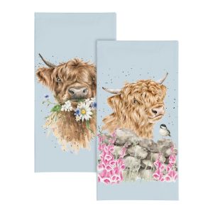 Wrendale Design-Hannah Dale-liebevoll illustriert-Geschenk-Wichtelgeschenk-Adventskalender-Erkaeltung-Schnupfen-Nastuch-Taschentuch-Hochlandrind-Daisy Coo